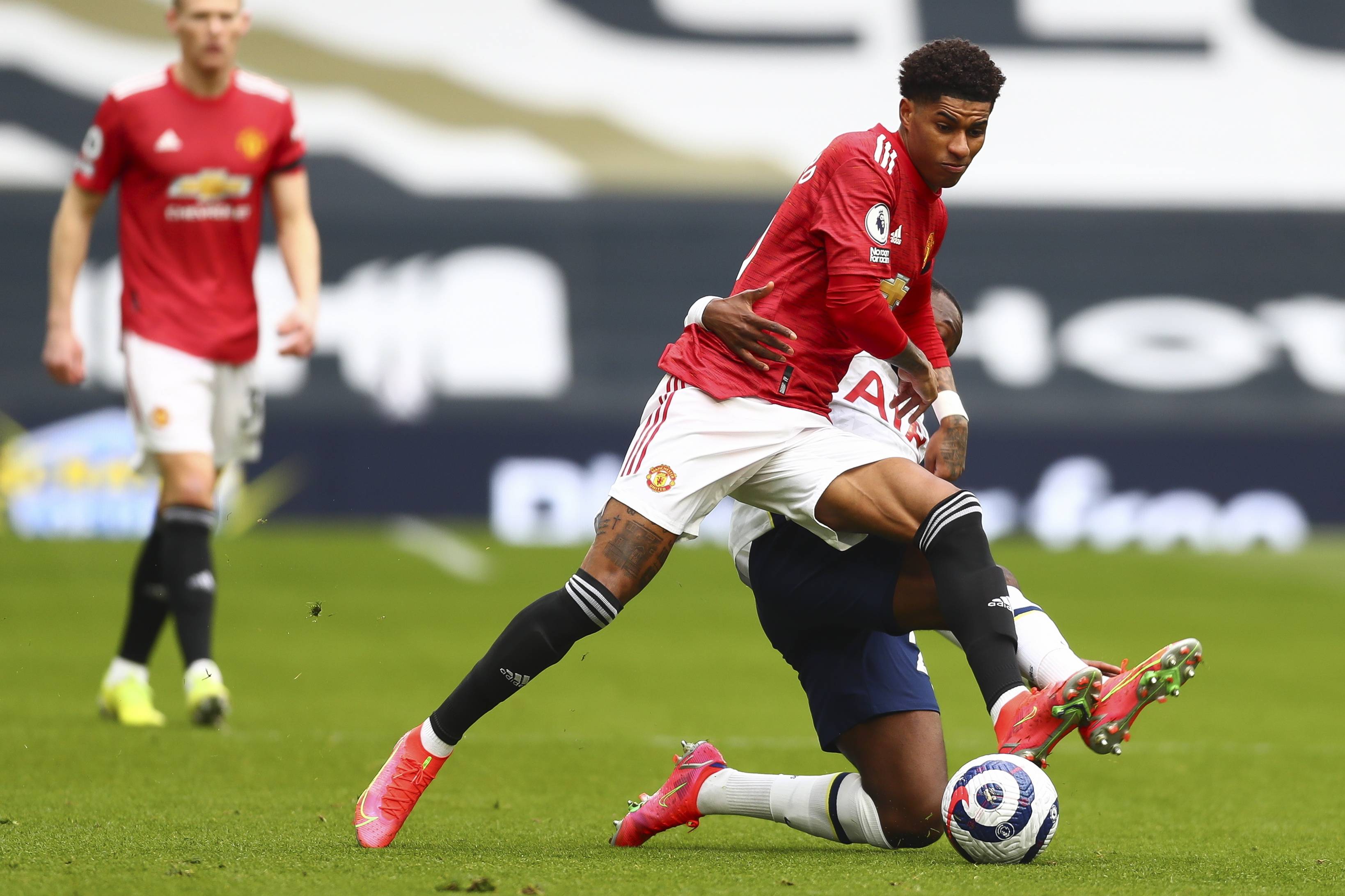 我们将详细 我们将详细