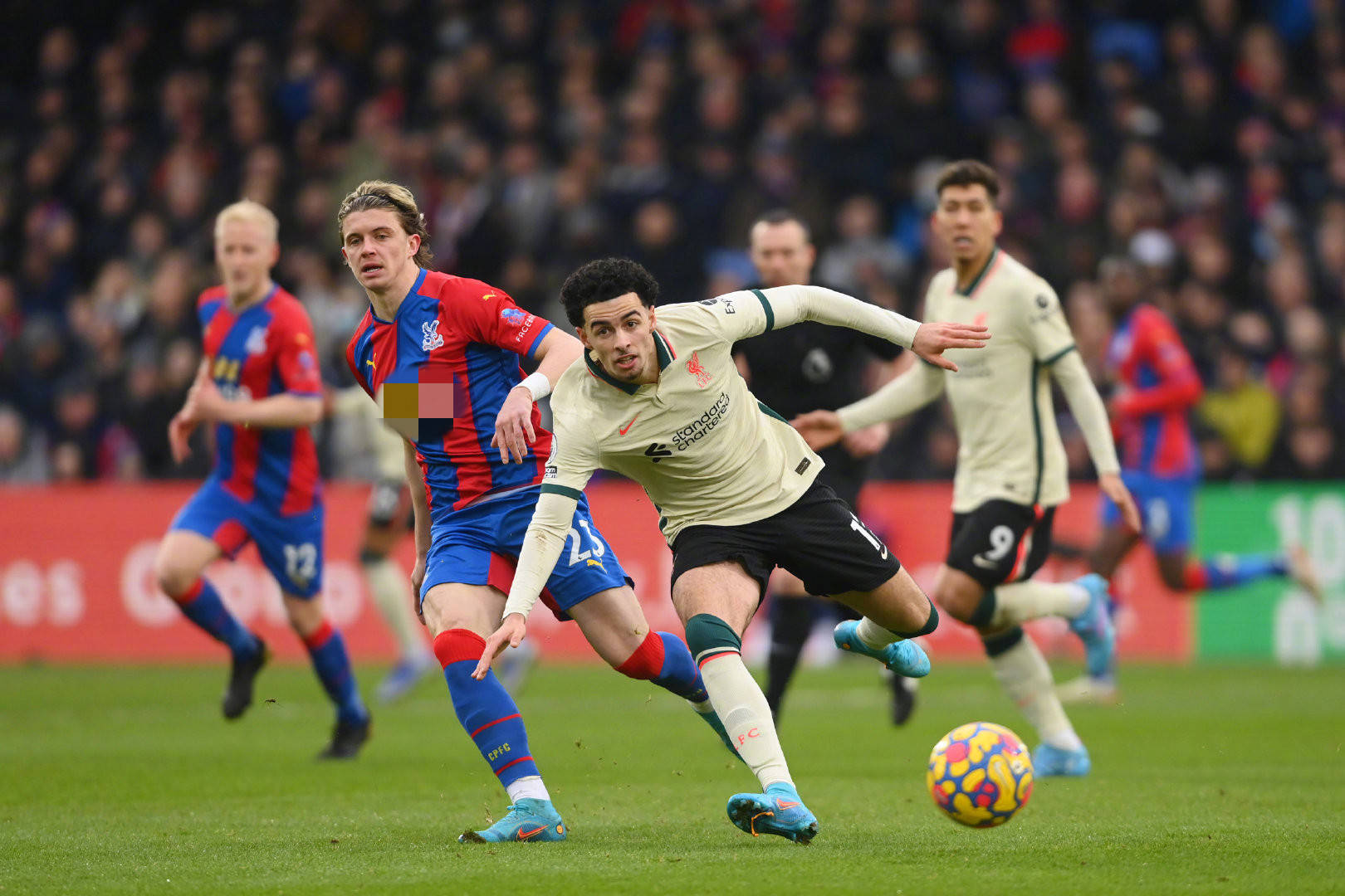 的自由身市 的自由身市